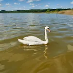 Schwan In - Wg 19a 
